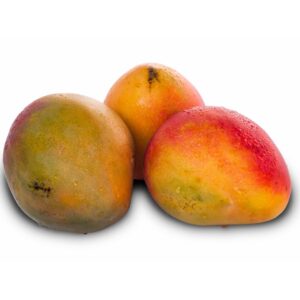 tommy mango