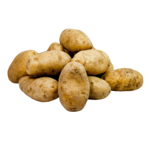 russet potato