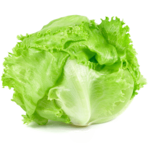 iceberg